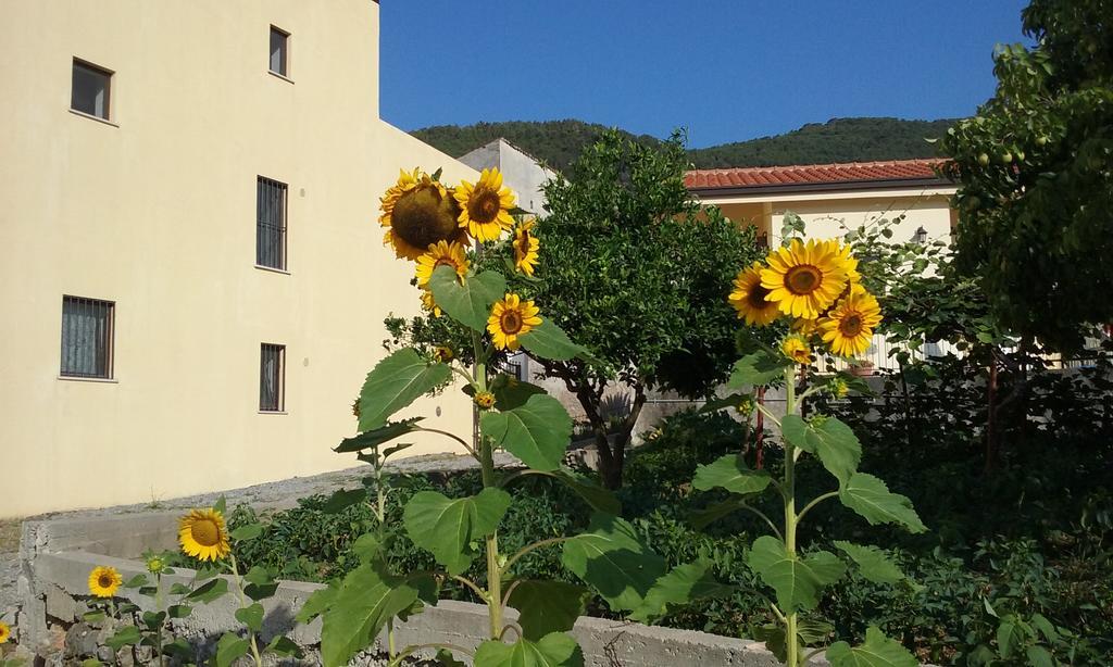Il Giardino Di Julia B&B Tortora Exterior foto